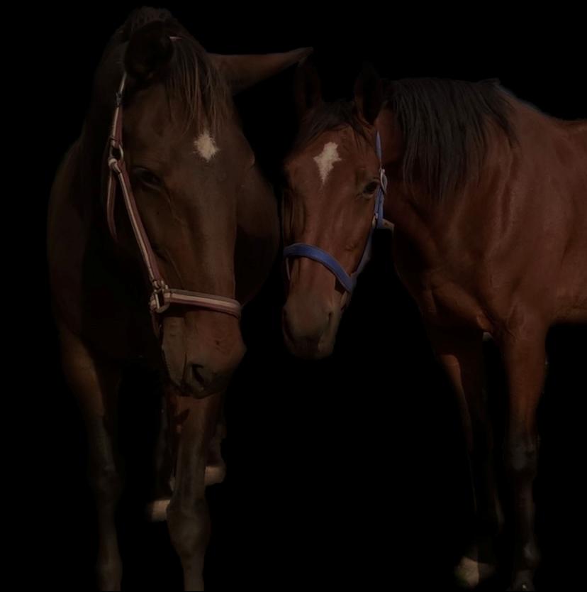 Traver Luka Østervang<3 billede 2