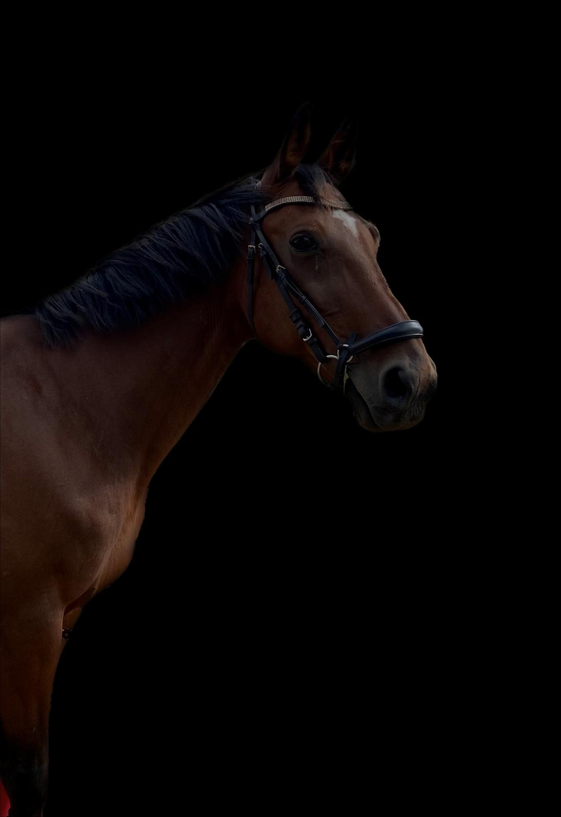 Traver Luka Østervang<3 billede 1