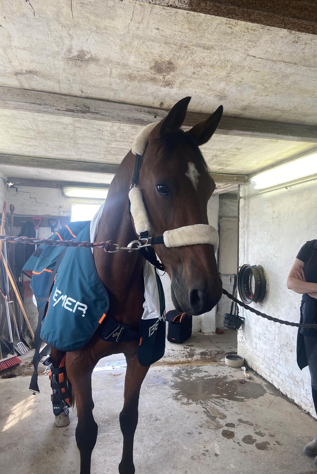 Traver Luka Østervang<3 billede 20