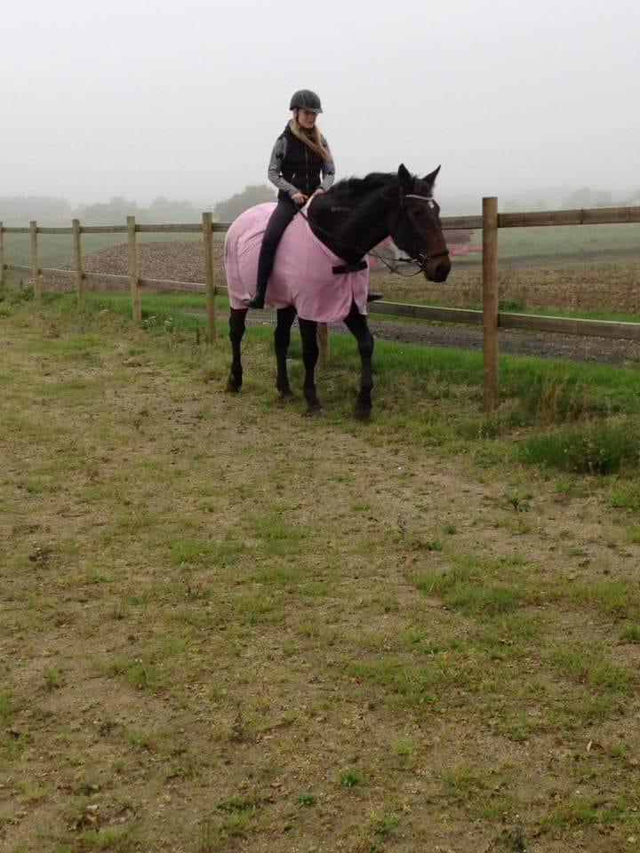 Traver Faraway *Himmelhest* billede 6