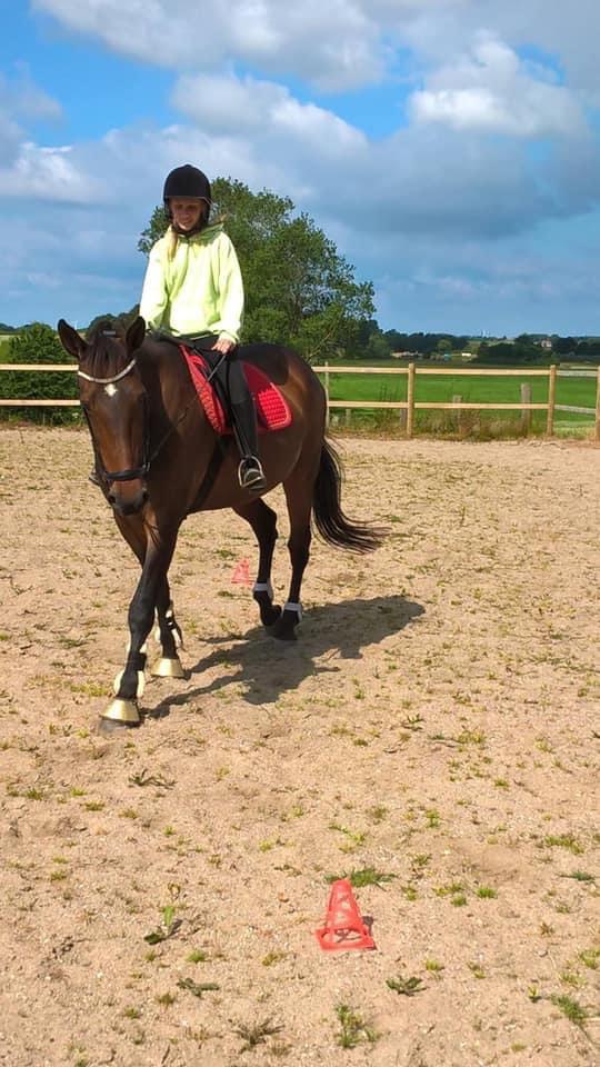 Traver Faraway *Himmelhest* billede 7