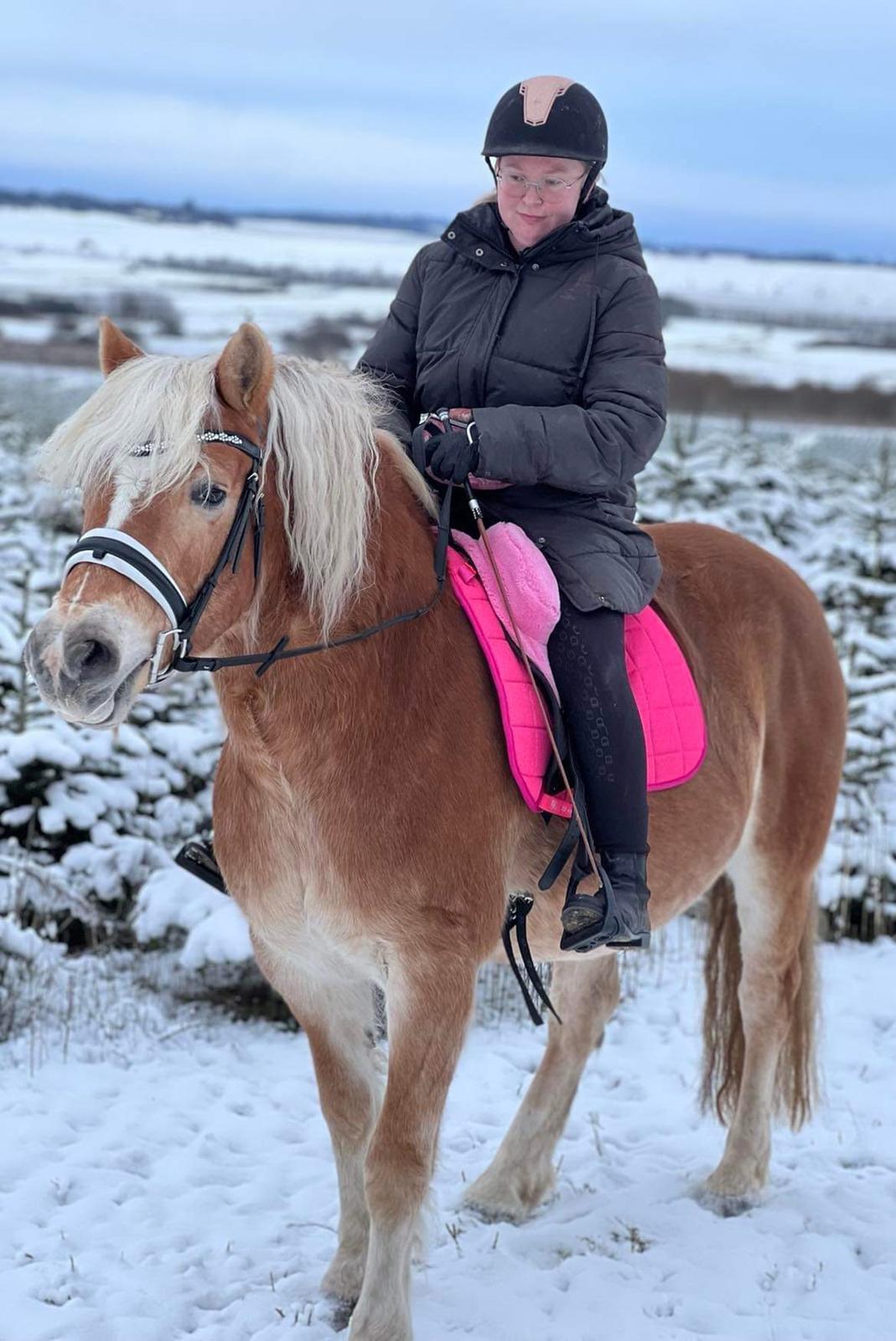 Haflinger Bella - December 2022 - Første tur med rytter billede 4
