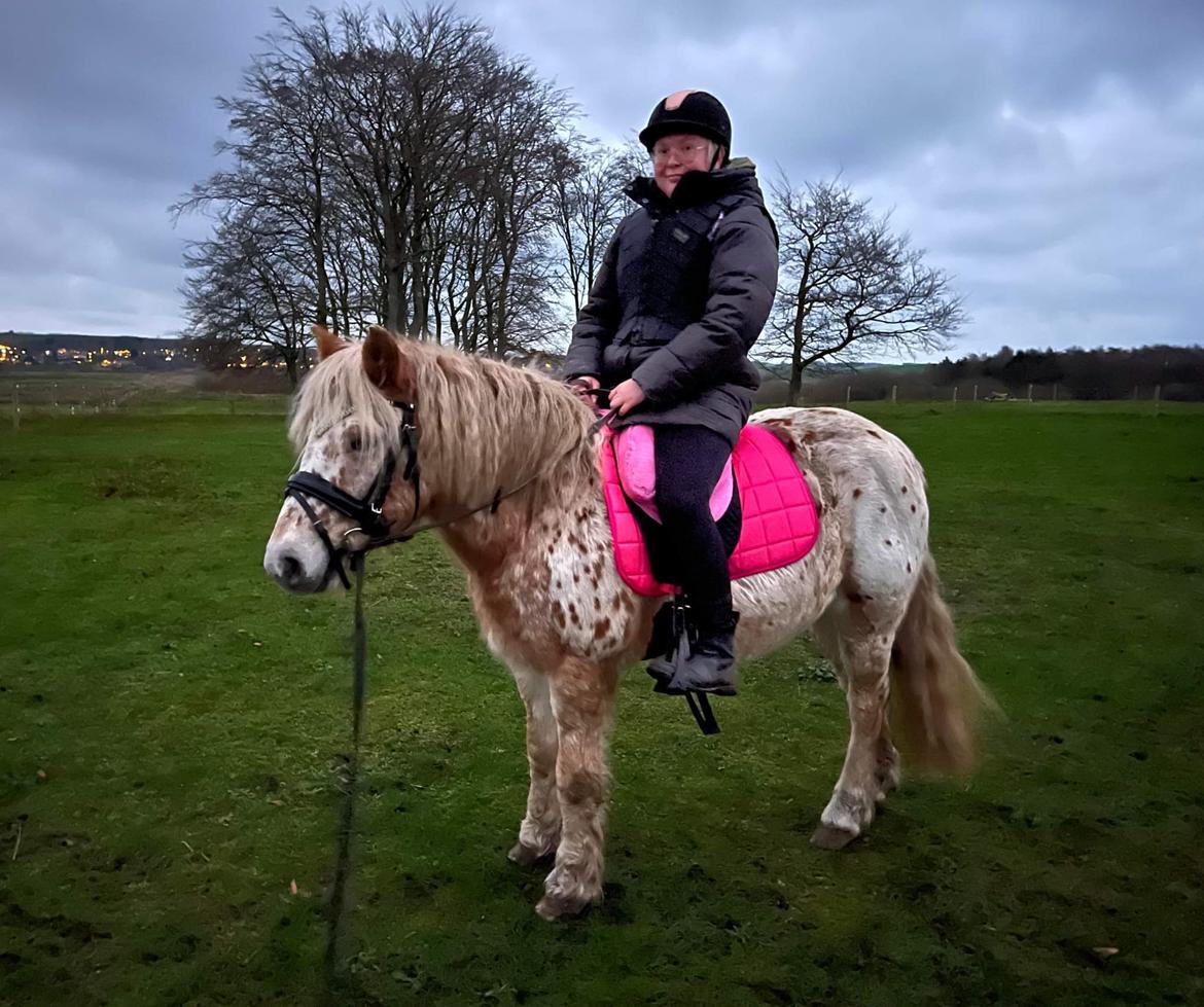 Anden særlig race Malou - December 2022 billede 8