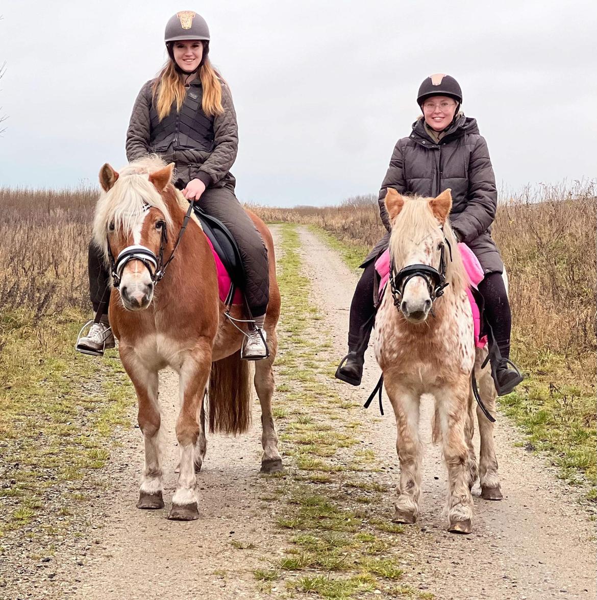 Anden særlig race Malou - December 2022 billede 7