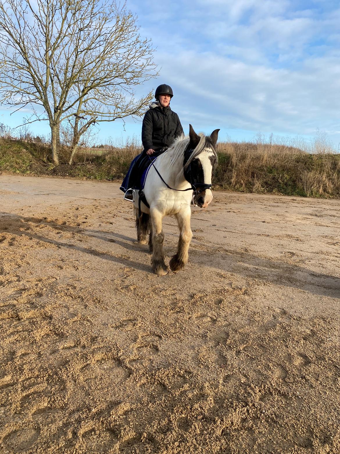 Tinker Holm's Vacinha (Minka) billede 1