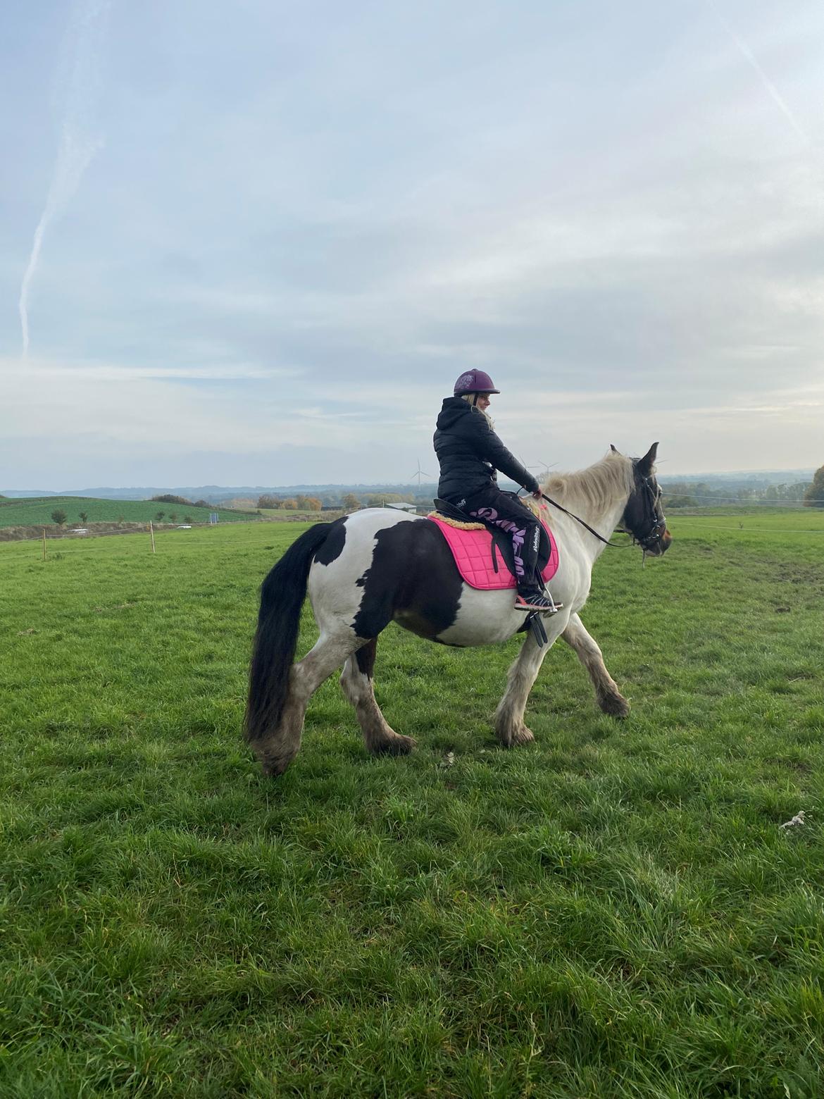 Tinker Holm's Vacinha (Minka) billede 10