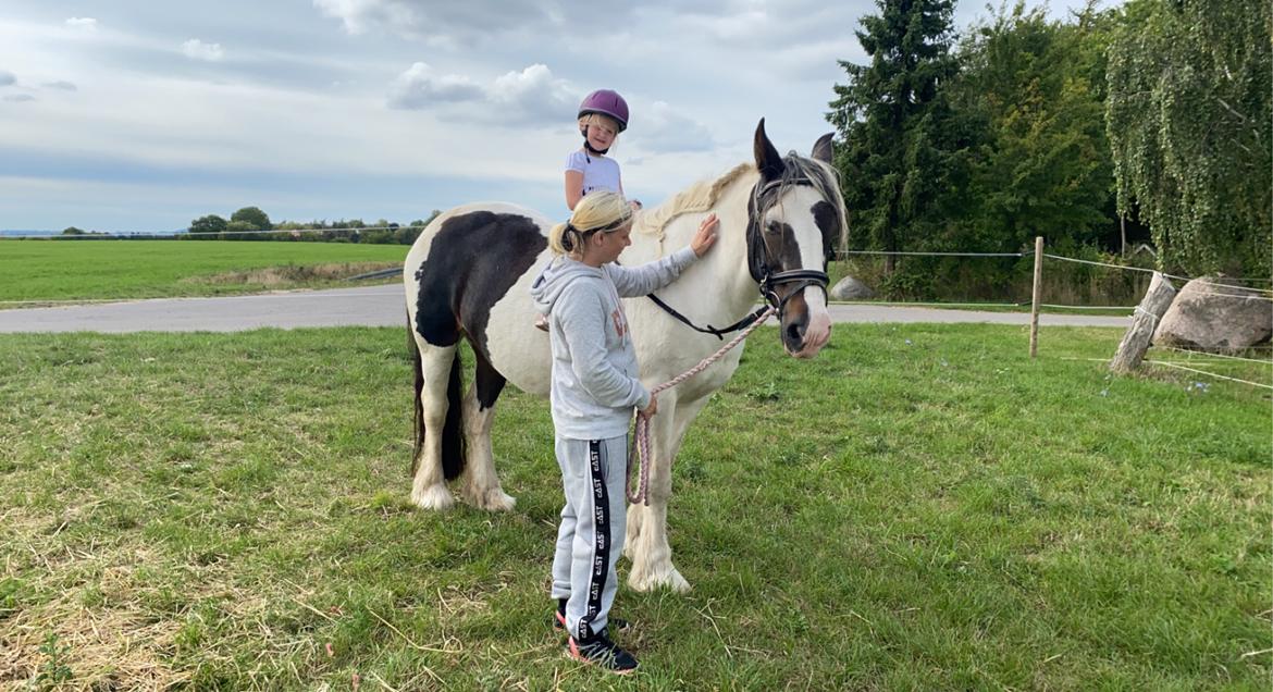 Tinker Holm's Vacinha (Minka) billede 14