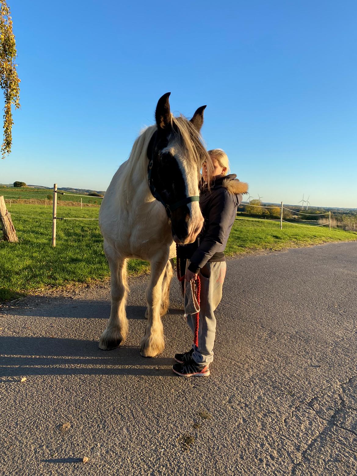 Tinker Holm's Vacinha (Minka) billede 11