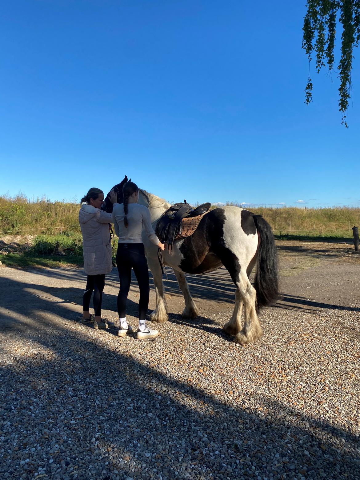 Tinker Holm's Vacinha (Minka) billede 13