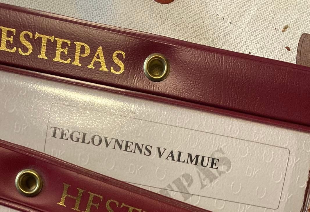 Dansk Varmblod Teglovnens valmue billede 10