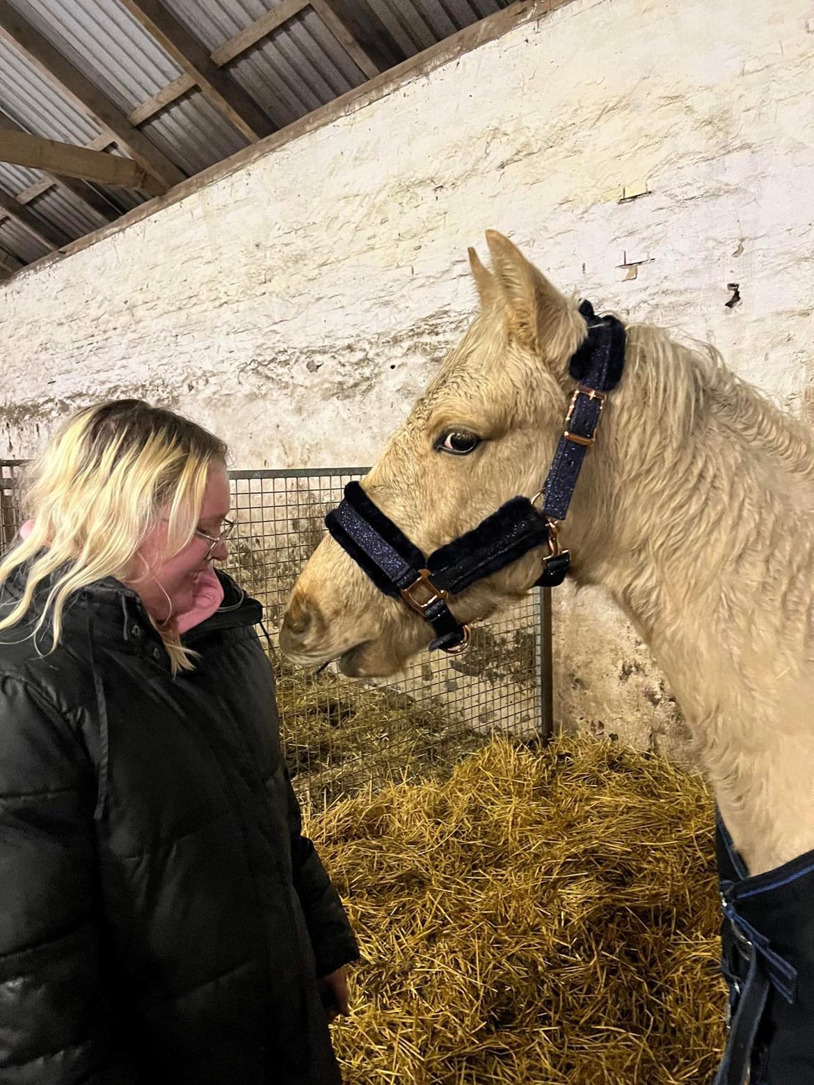 Anden særlig race Keldbæksgaard's Holger - Januar 2023 billede 9
