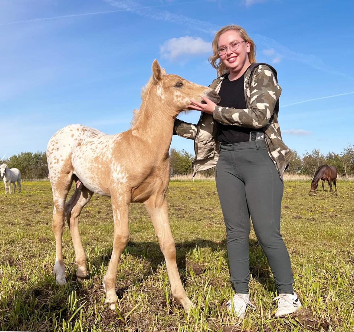 Anden særlig race Keldbæksgaard's Holger - Maj 2022 billede 5