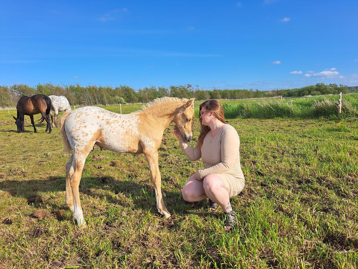 Anden særlig race Keldbæksgaard's Holger - Maj 2022 billede 11