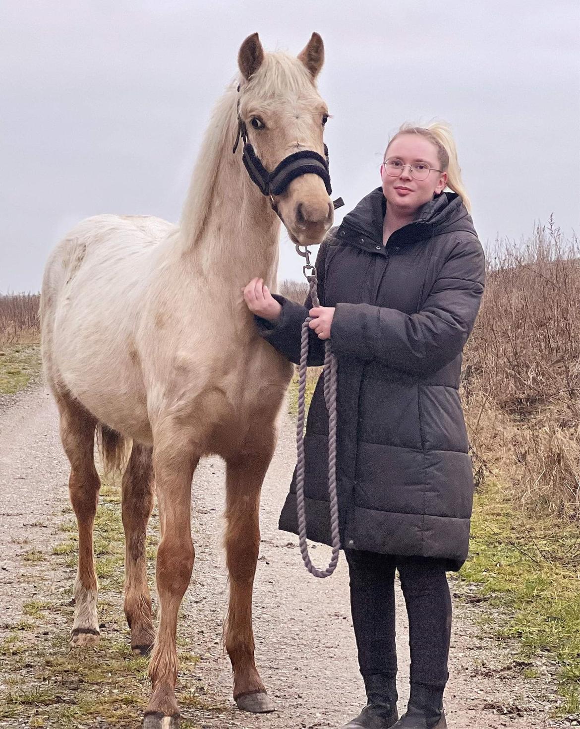 Anden særlig race Keldbæksgaard's Holger - Januar 2023 billede 2