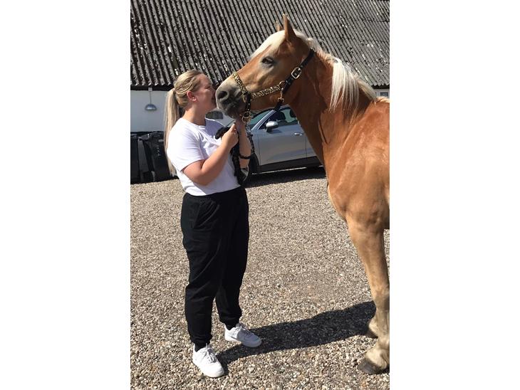 {{currentPhoto.altText}} billede {{currentPhoto.number}}