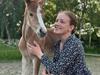 Welsh Partbred (Sec F) Forever Mirabella