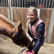 Anden særlig race Minagetzo 