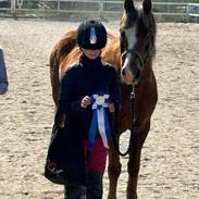 Anden særlig race Minagetzo 