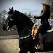 Frieser Xynhia van de wisseltplaats.