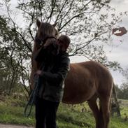 Anden særlig race | Odin 