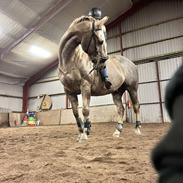 Quarter Our mister Hollywood ( Woody)