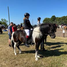 Islænder Lára fra sønderby 