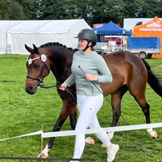 Anden særlig race TRUBKA'S RICARDO NIGHT