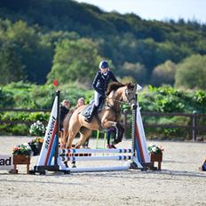 DSP Skelhøjs celica