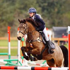 DSP Skelhøjs celica