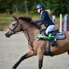 DSP Skelhøjs celica