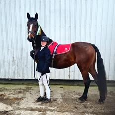 Gelderland Marjolein