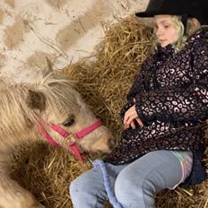 Anden særlig race Brutalis 