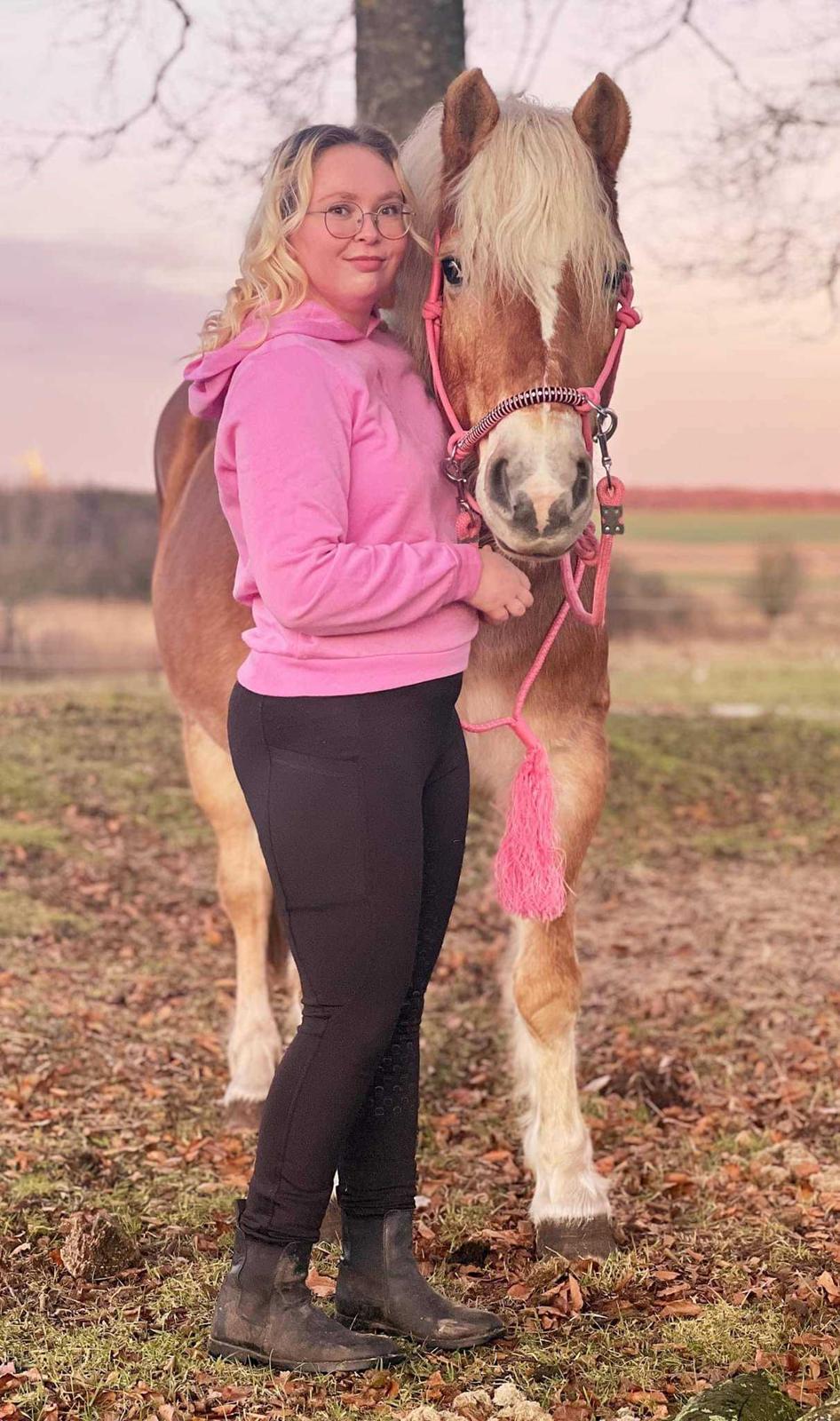 Haflinger Bella - Januar 2023 billede 13