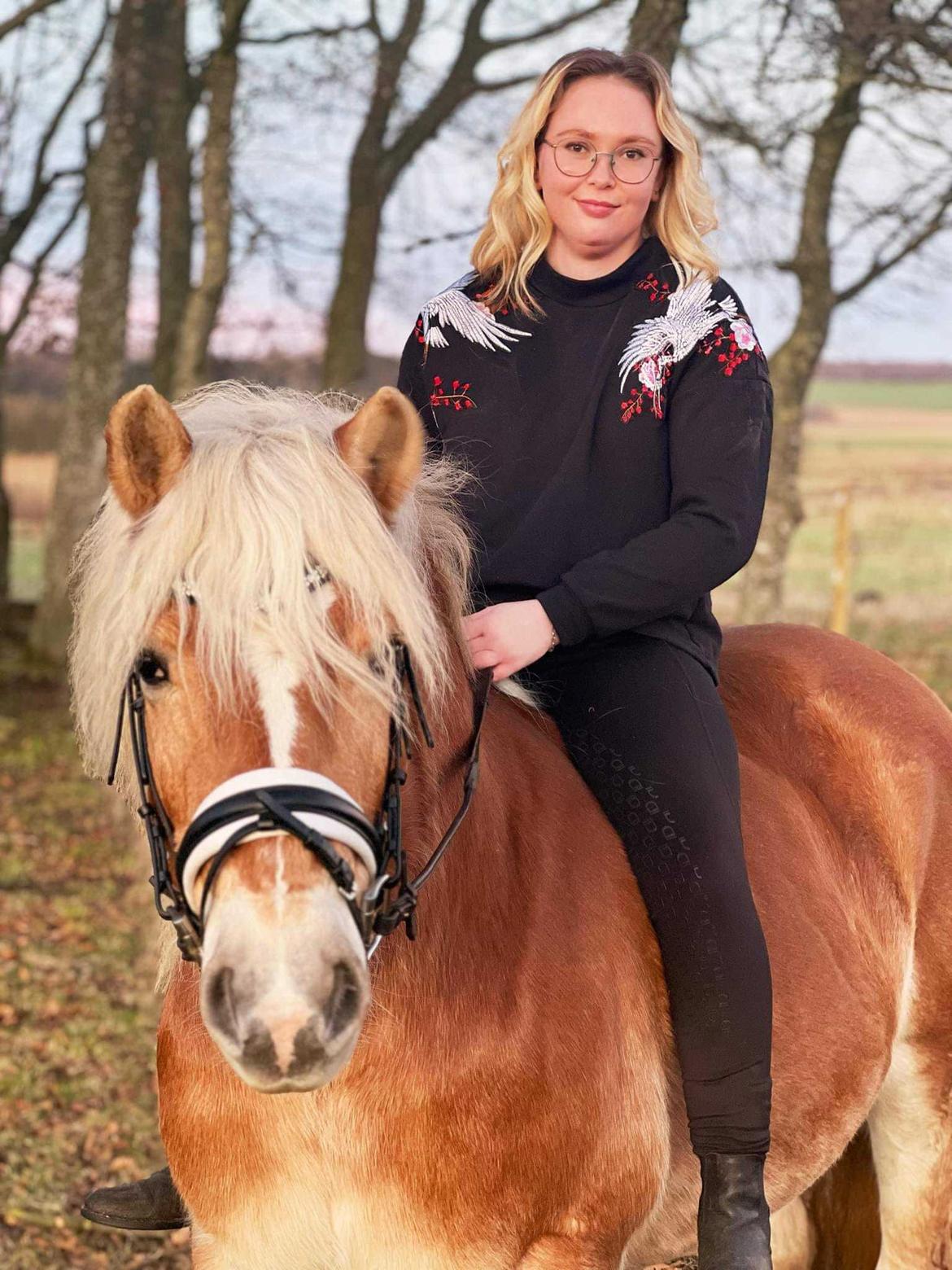Haflinger Bella - Januar 2023 billede 11