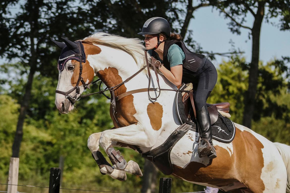 Pinto What A Spot billede 20