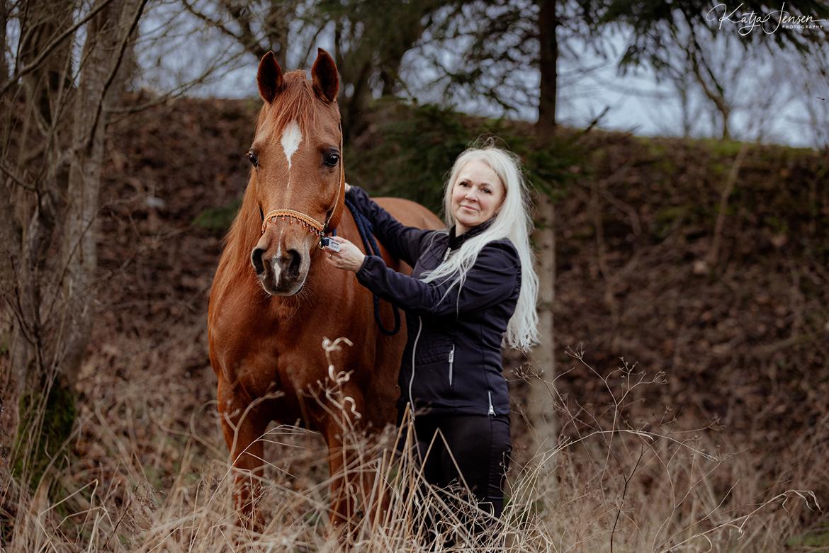 Arabisk fuldblod (OX) Shamiaah APN ( LEASET 2022-23) SOLGT billede 2