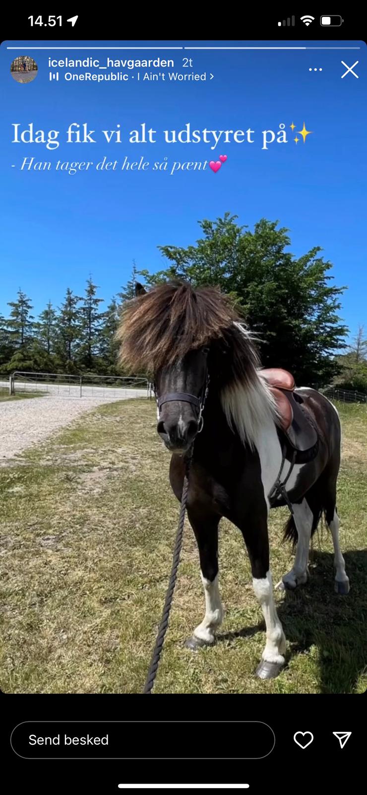 Islænder Magnús fra Liltoft billede 11