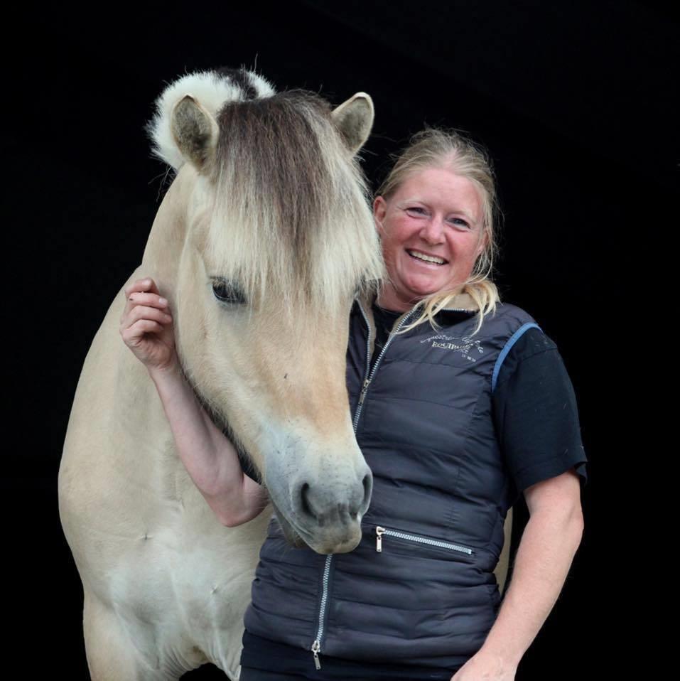 Fjordhest Caïx kraghede billede 2