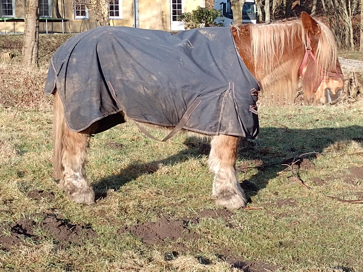 Jyde Vejlby Lene  billede 11