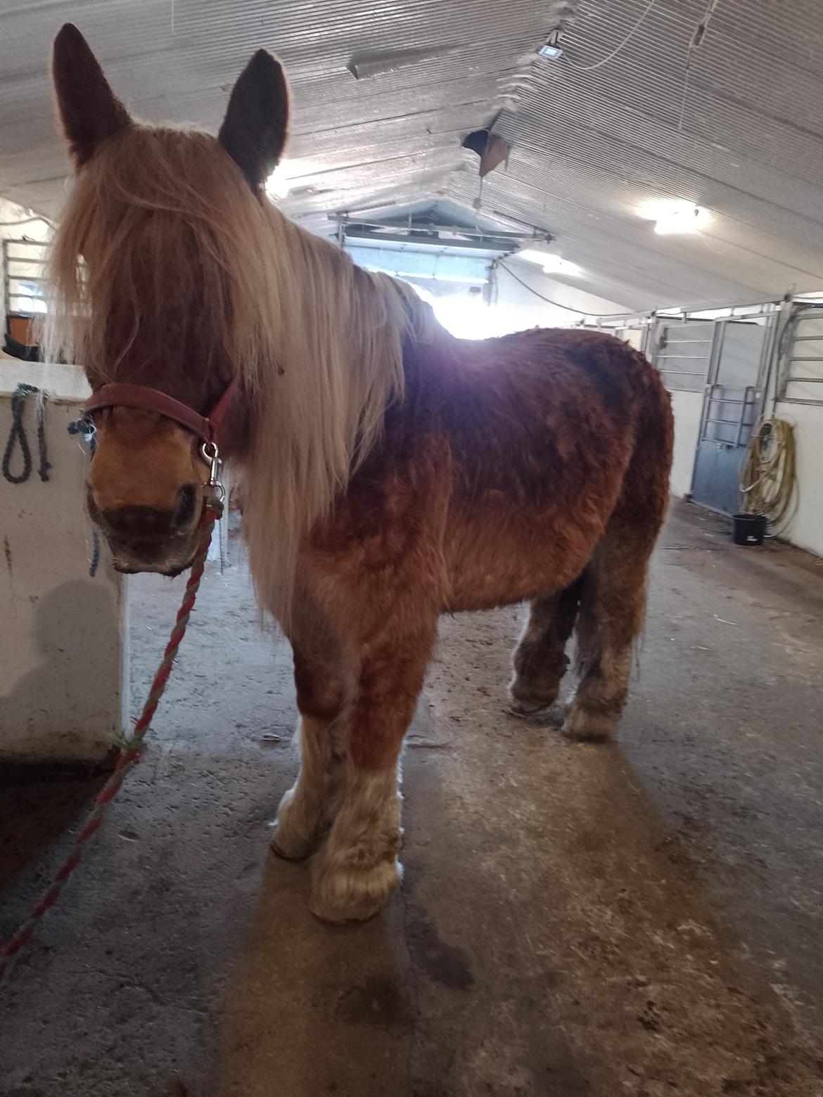 Jyde Vejlby Lene  billede 12