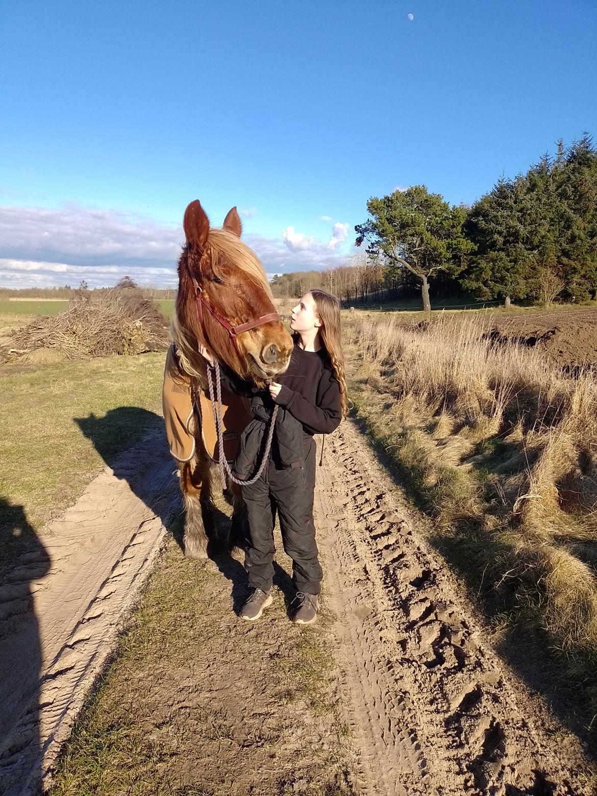 Jyde Vejlby Lene  billede 15