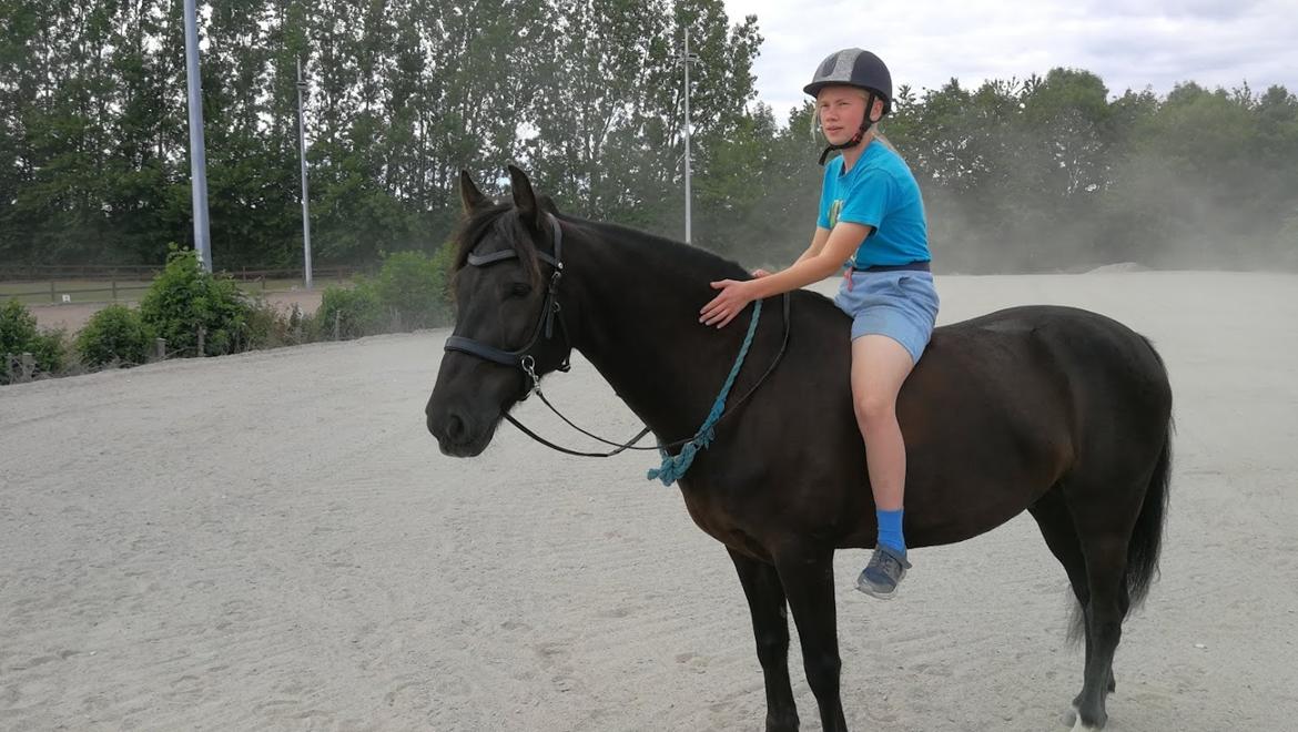 Anden særlig race LBG´s Chuck Bullet - Juni 2020 billede 9