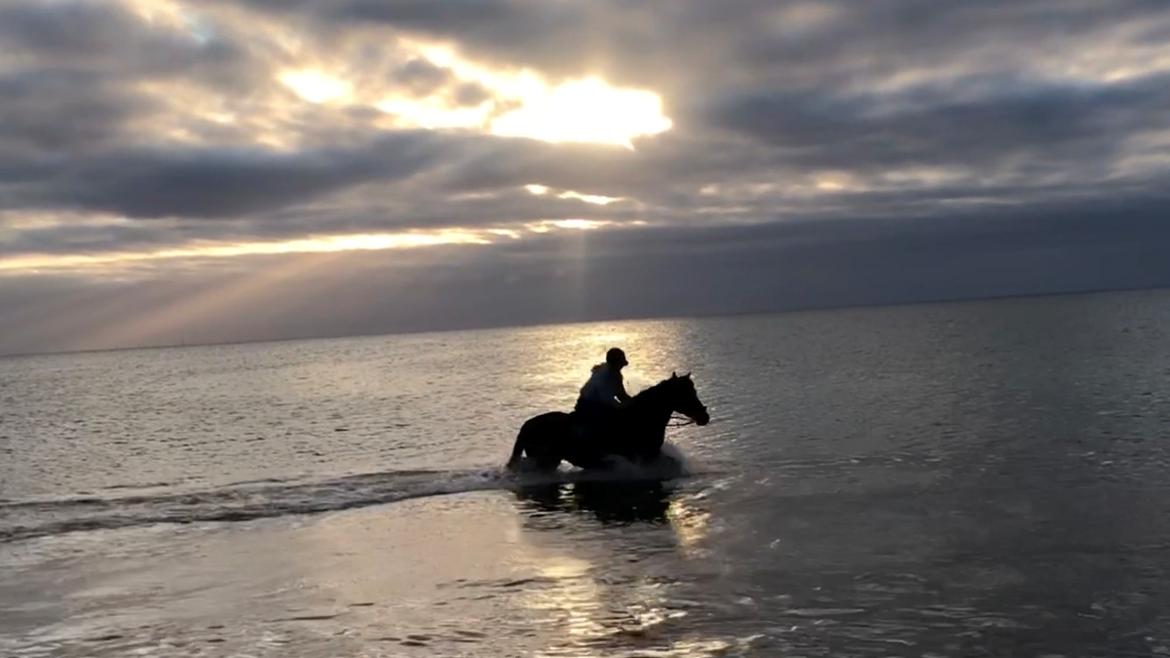 Anden særlig race LBG´s Chuck Bullet - På stranden september 2022 billede 18