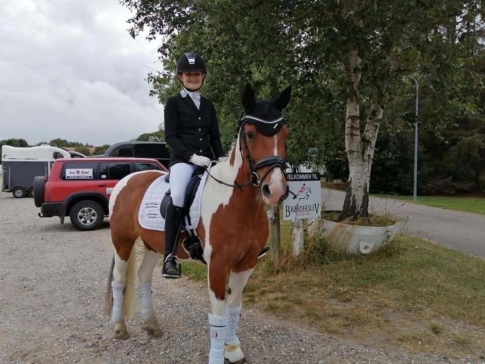 Anden særlig race Vicky Roma (B pony) billede 9