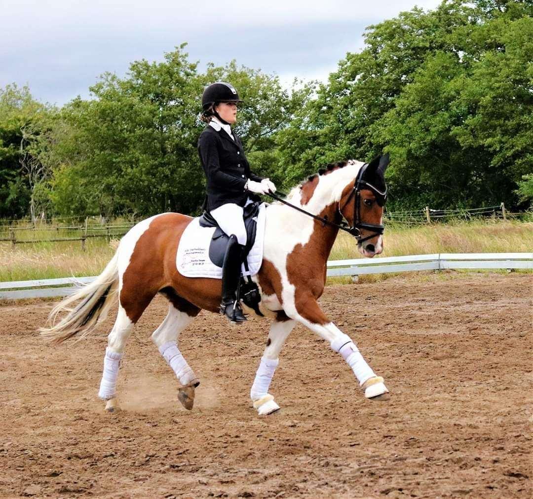 Anden særlig race Vicky Roma (B pony) billede 8