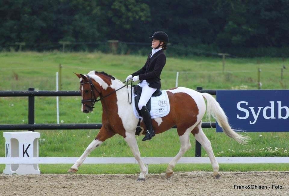 Anden særlig race Vicky Roma (B pony) billede 14