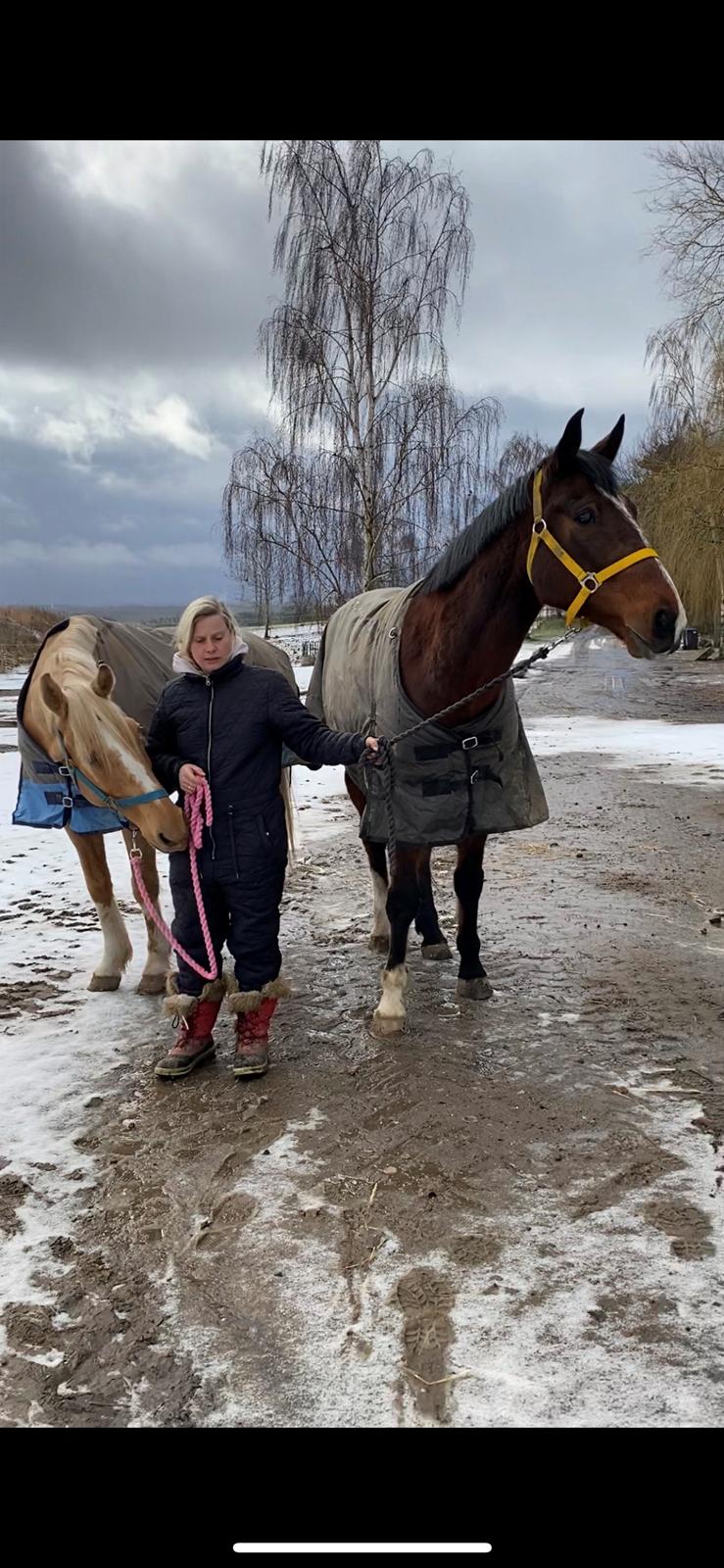 Anden særlig race Rævebjerggårds Mason billede 15