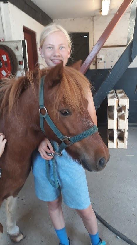 Anden særlig race Bugsy billede 3