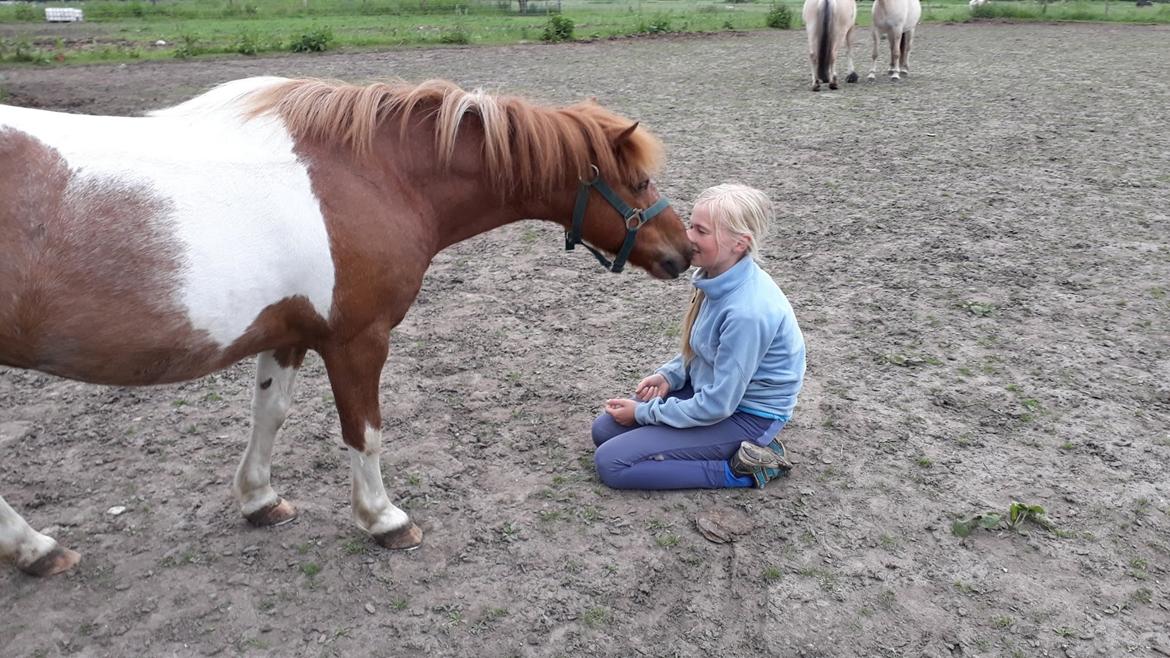 Anden særlig race Bugsy billede 4