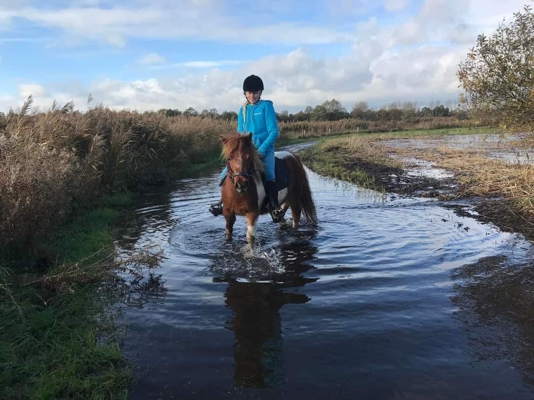 Anden særlig race Bugsy - På tur 2018 billede 6